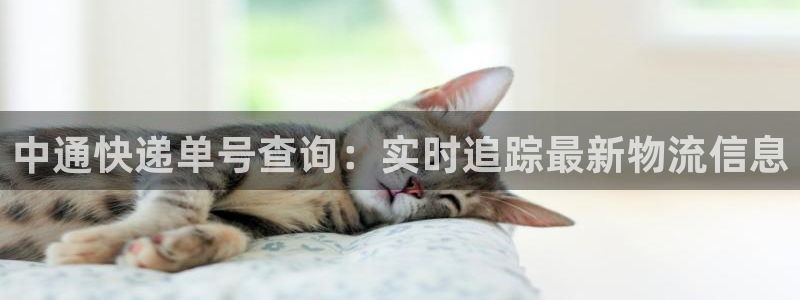 28圈违法吗