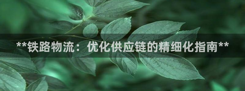 28圈注册入口与教程：**铁路物流：