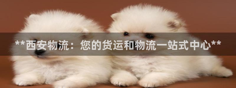 28圈.ccmpc预测：**西安物流