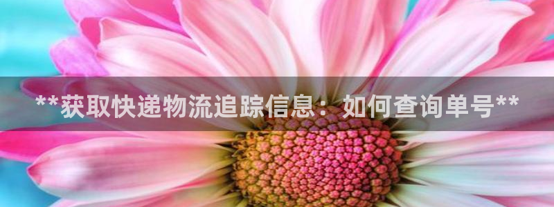 28圈比特28预测在线预测