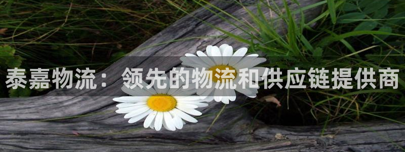 28圈登陆网