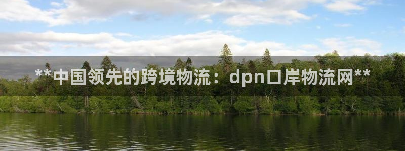 28圈cn