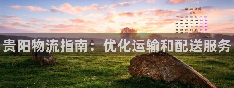 28圈大神预测