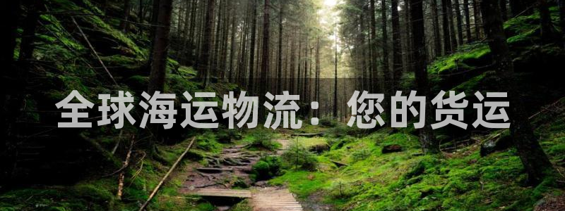 28圈怎么注册账号：全球海运物流：您