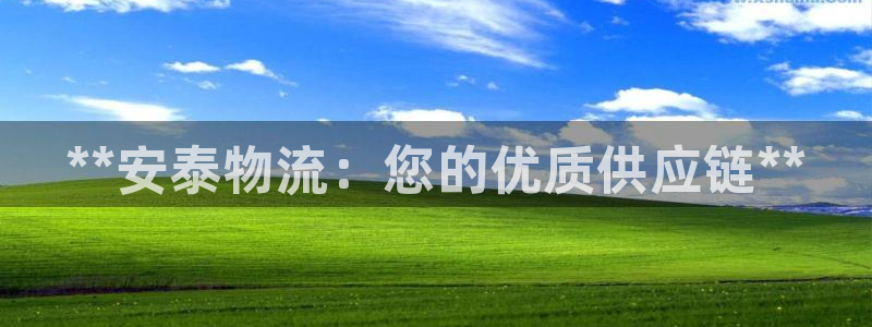 28圈登陆网：**安泰物流：您的优质