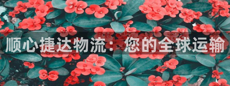 28圈连接