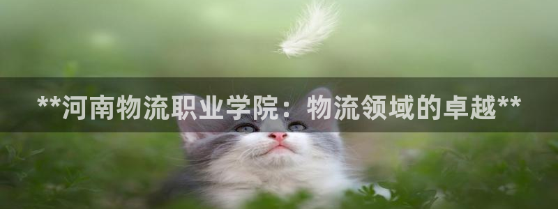 28圈注册网站：**河南物流职业学院
