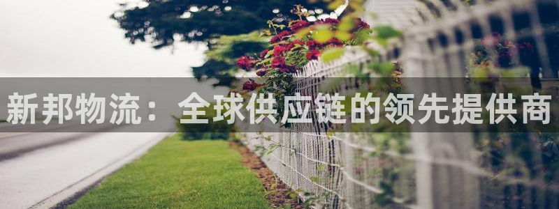 28圈麻将胡了在线试玩：新邦物流：全