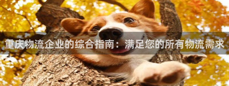 28圈注册网站：重庆物流企业的综合指