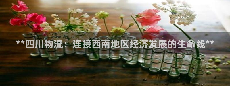 28圈ccm官网版