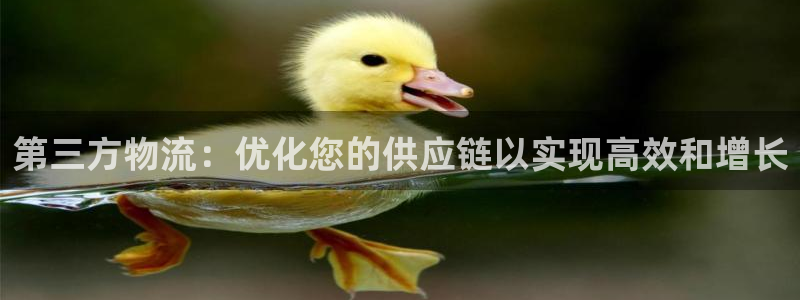 28圈注册网站多少：第三方物流：优化