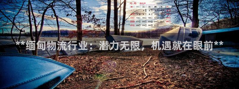 28圈退款教程