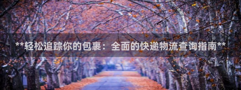 28圈