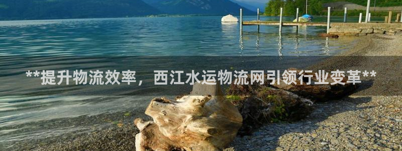 28圈模拟器在线玩