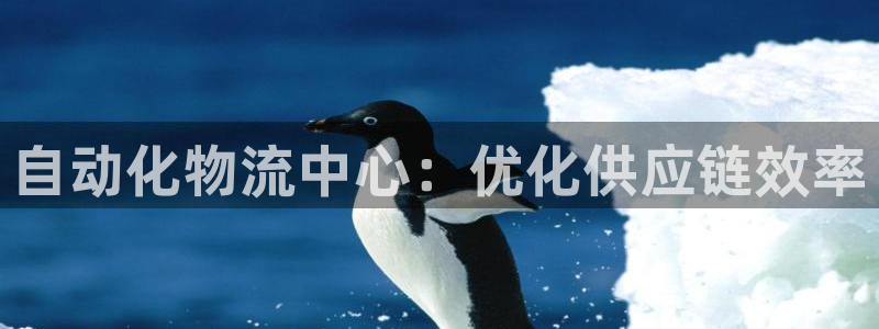 28圈官网网站