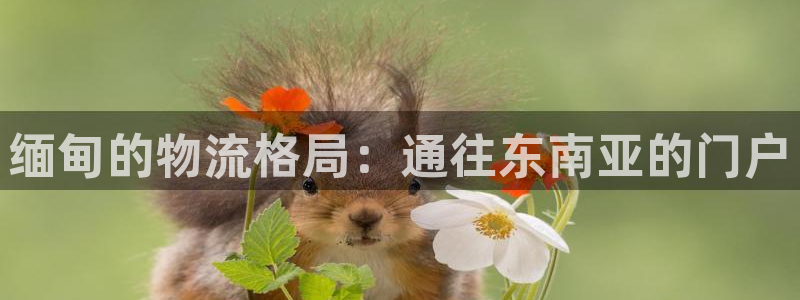 自行车28圈是什么意思