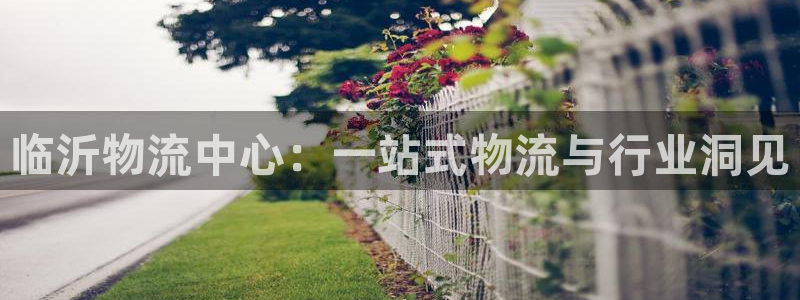 28圈充值不到账