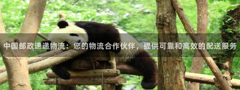 28圈注册网站链接怎么弄：中国邮政速