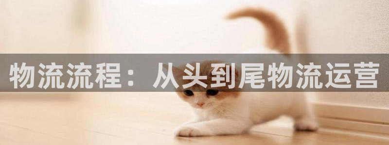 28圈官网平台