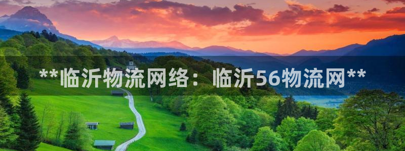 28圈注册教程：**临沂物流网络：临