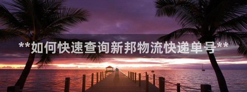 28圈注册网址：**如何快速查询新邦