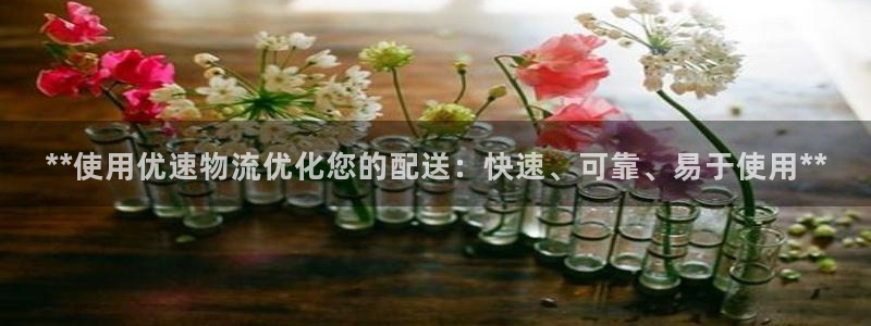28圈选28ng官网：**使用优速物