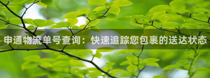28圈ccm官网版
