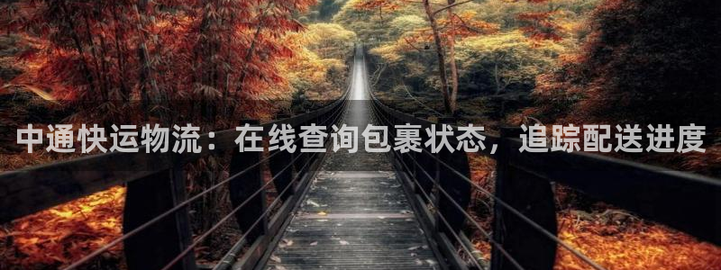 28圈绿骨头：中通快运物流：在线查询