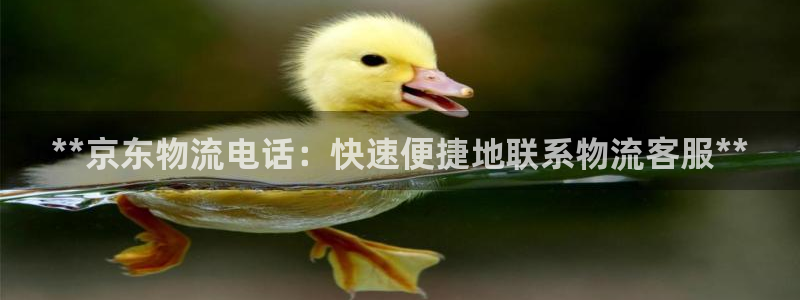 28圈充值：**京东物流电话：快速便