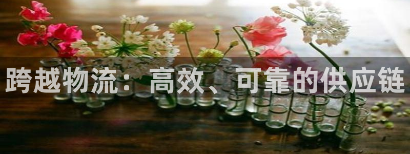 28圈登录不上咋回事：跨越物流：高效
