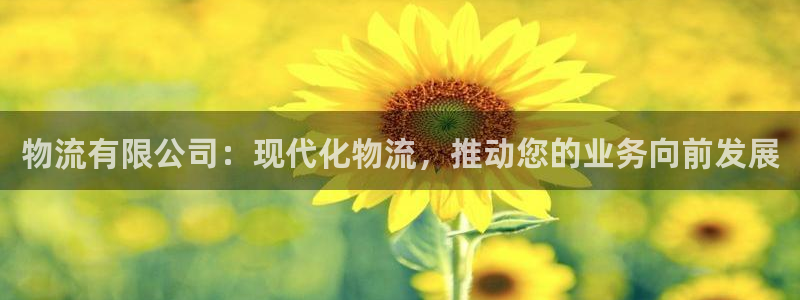 28圈是正规平台吗