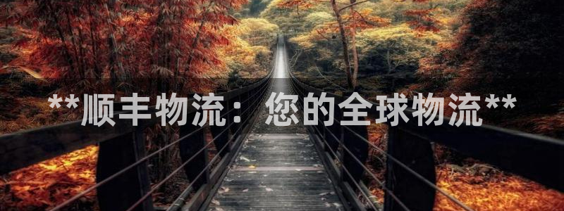 28圈pg麻将胡了：**顺丰物流：您