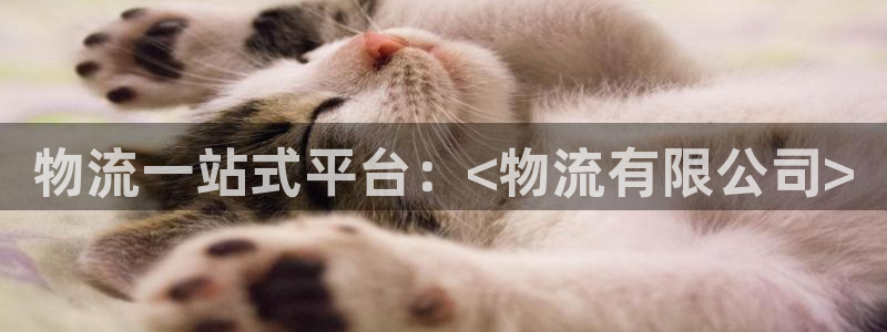 加拿大28圈是什么