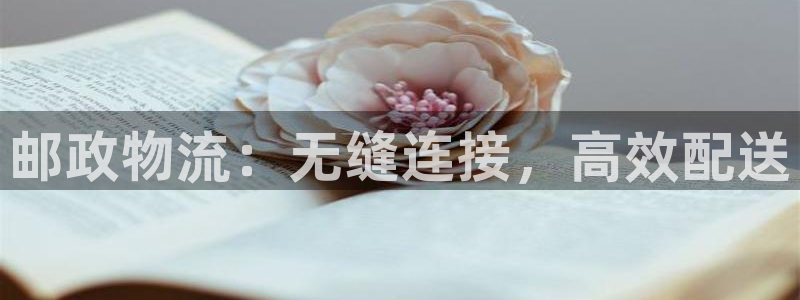 28圈如何注销账号：邮政物流：无缝连
