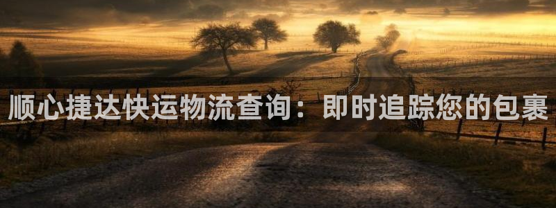 28圈加拿大最新版：顺心捷达快运物流