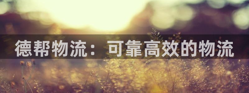 28圈网站怎么注册：德帮物流：可靠高