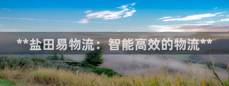 28圈大神预测：**盐田易物流：智能