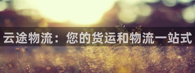 28圈软件