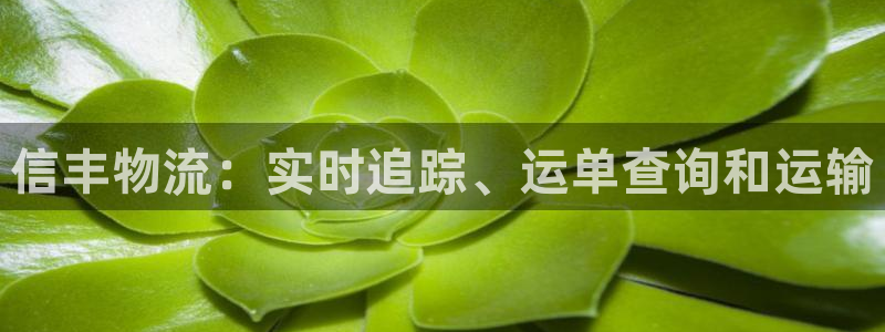 28圈自行车图片