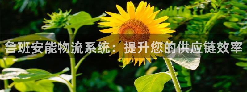 28圈能提现吗：鲁班安能物流系统：提