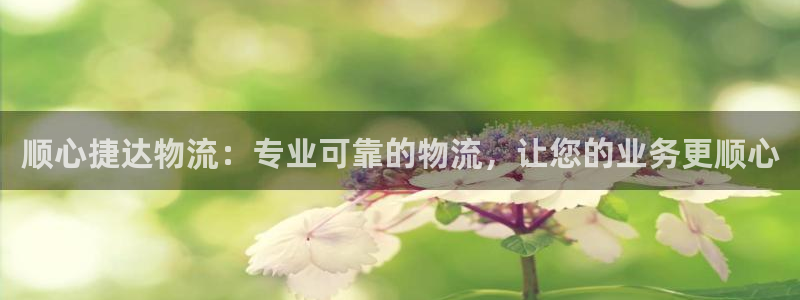 28圈注册网站APP：顺心捷达物流：
