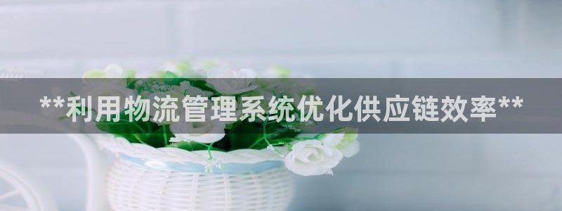 28圈的平台：**利用物流管理系统优
