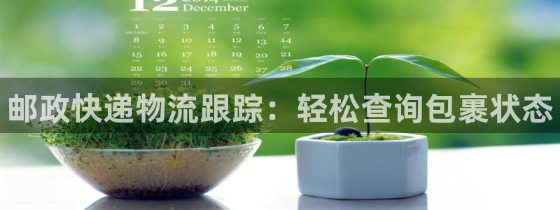 南宫28圈官网：邮政快递物流跟踪：轻