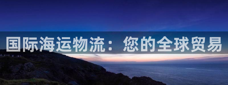 28圈登录不上咋回事：国际海运物流：