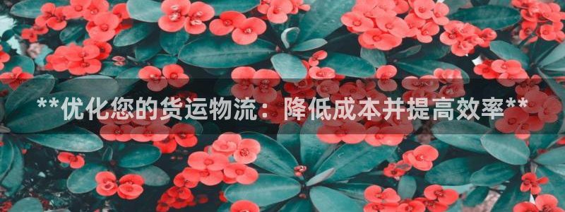 28圈加拿大模拟器：**优化您的货运
