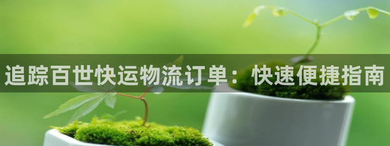 28圈.ccm2024：追踪百世快运