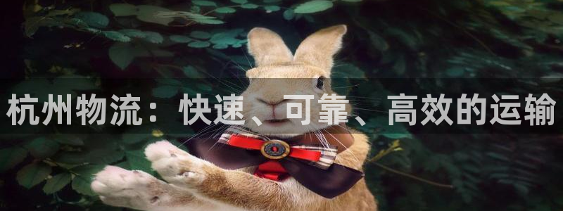 28圈违法吗：杭州物流：快速、可靠、