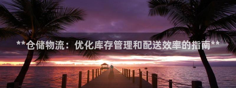 28圈辅助：**仓储物流：优化库存管