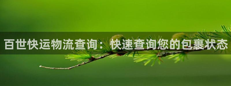 28圈入口问一问：百世快运物流查询：