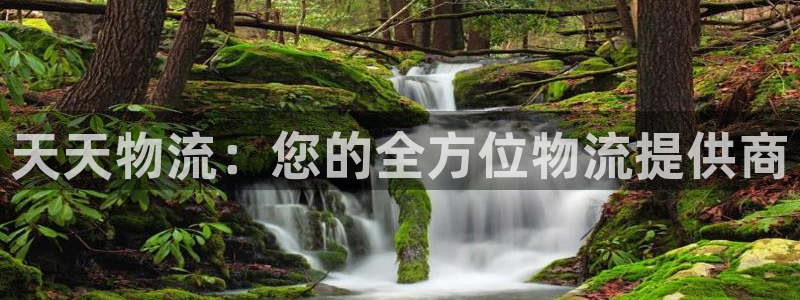 28圈麻将胡了
